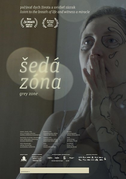 Šedá zóna - plagát
