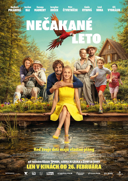 Nečakané leto - plagát