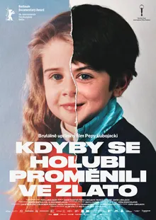 Keby sa holuby premenili na zlato - plagát